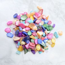 画像1: 【約20ｇ】封入用　シェル　カラフルパーツ　A3-5 (1)