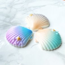 画像3: 【単品】グラデーションカラー　シェル　プラパーツ　3色有 (3)