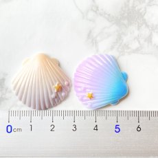 画像5: 【単品】グラデーションカラー　シェル　プラパーツ　3色有 (5)